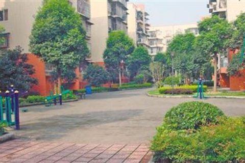扫地车什么牌子好，选购扫地车这三点一定要注意